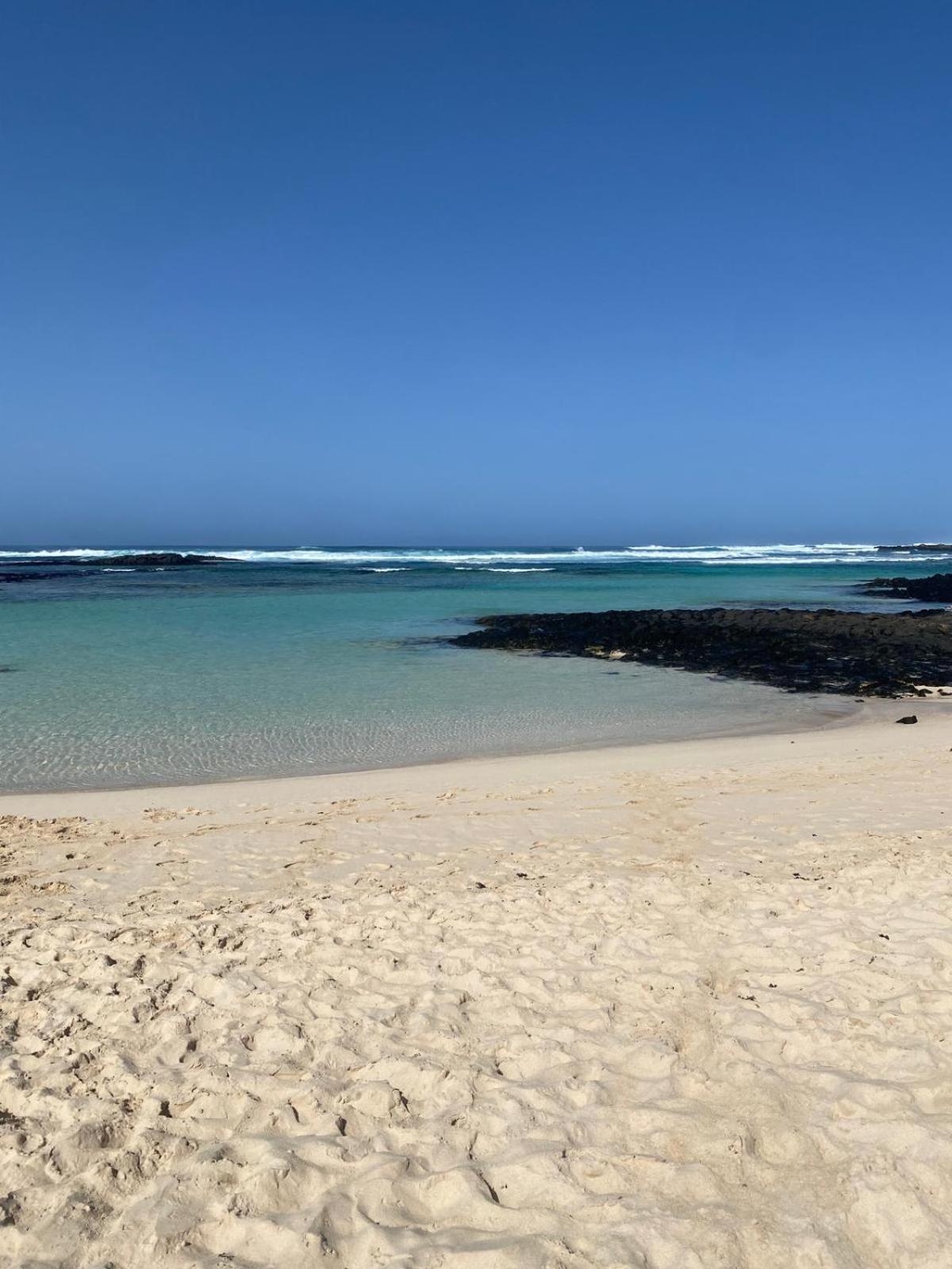 Cotillo المظهر الخارجي الصورة