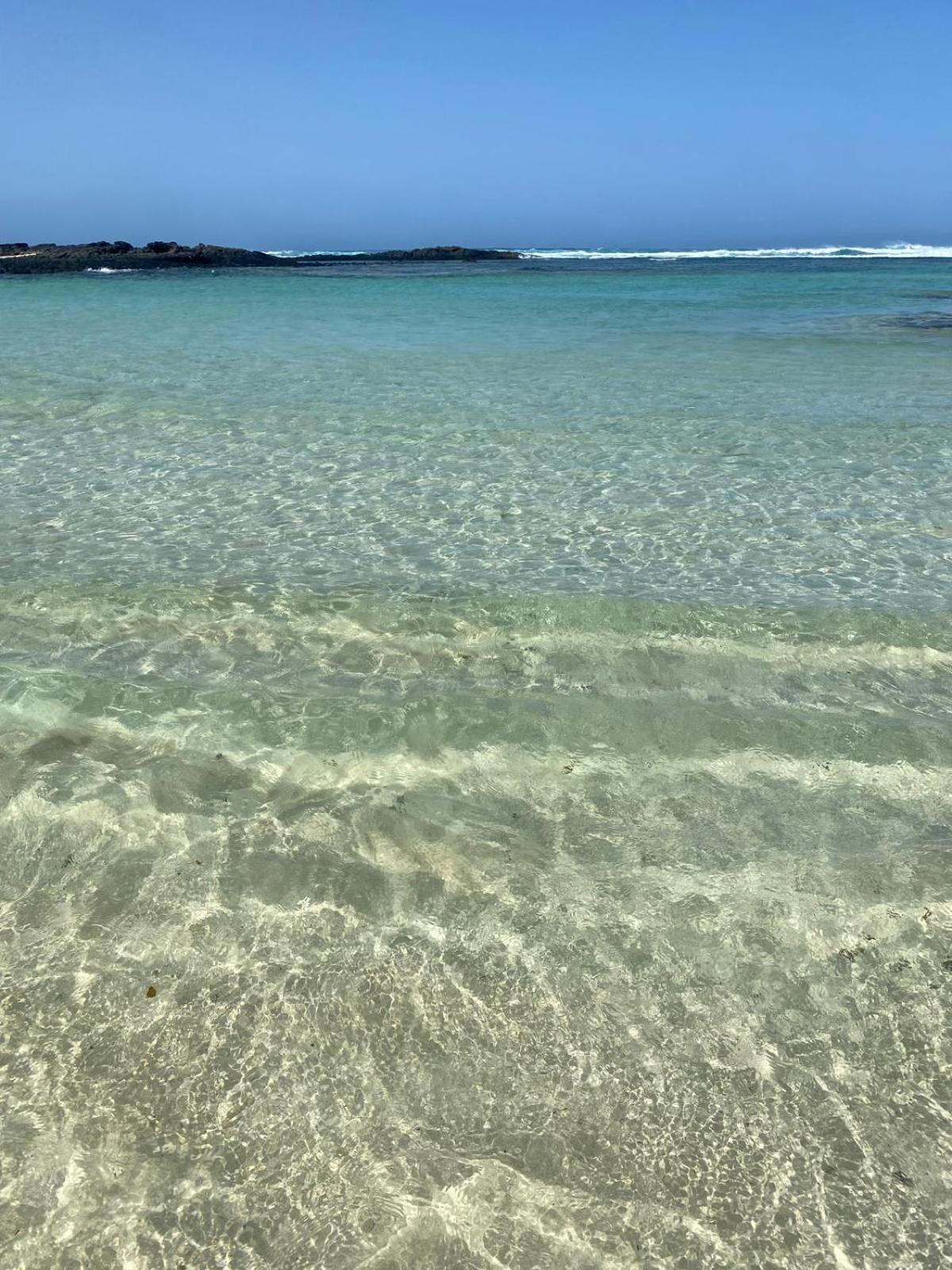 Cotillo المظهر الخارجي الصورة