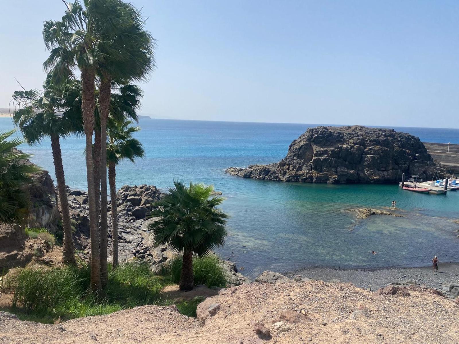 Cotillo المظهر الخارجي الصورة