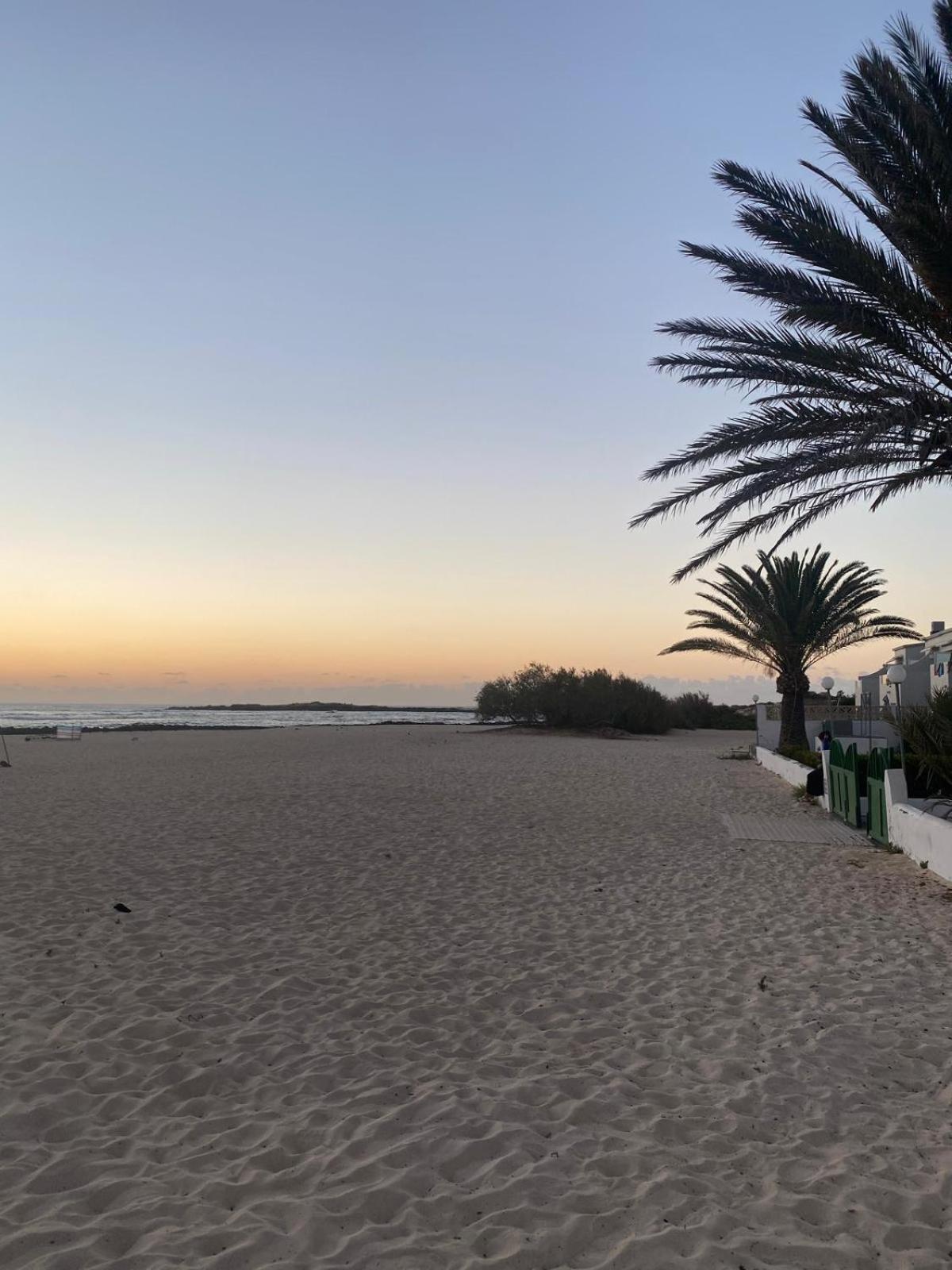 Cotillo المظهر الخارجي الصورة