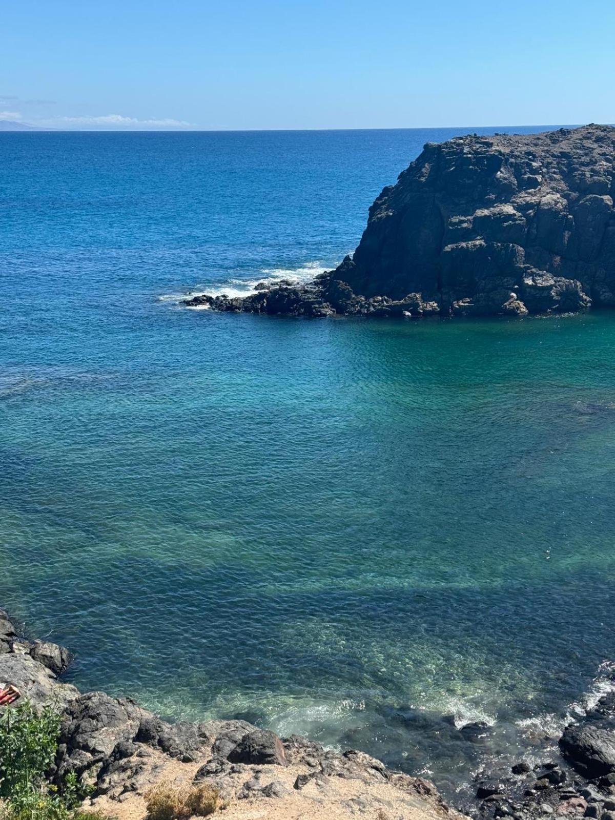 Cotillo المظهر الخارجي الصورة