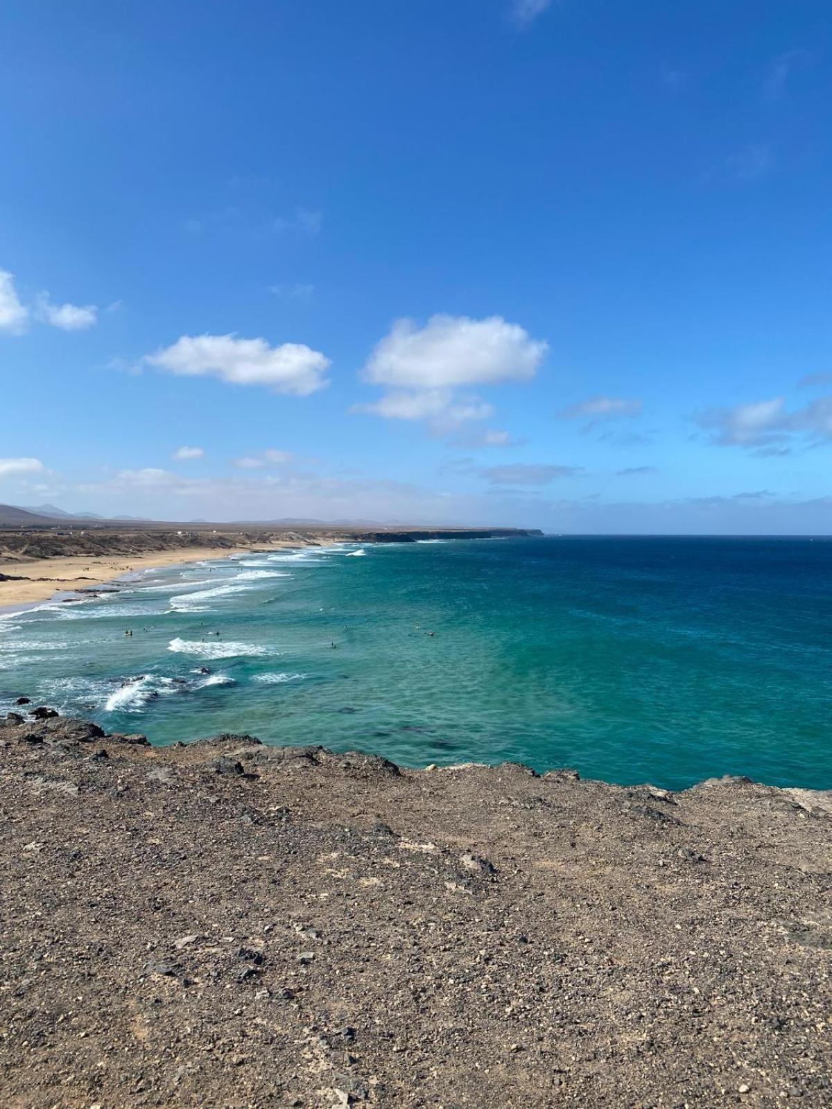 Cotillo المظهر الخارجي الصورة
