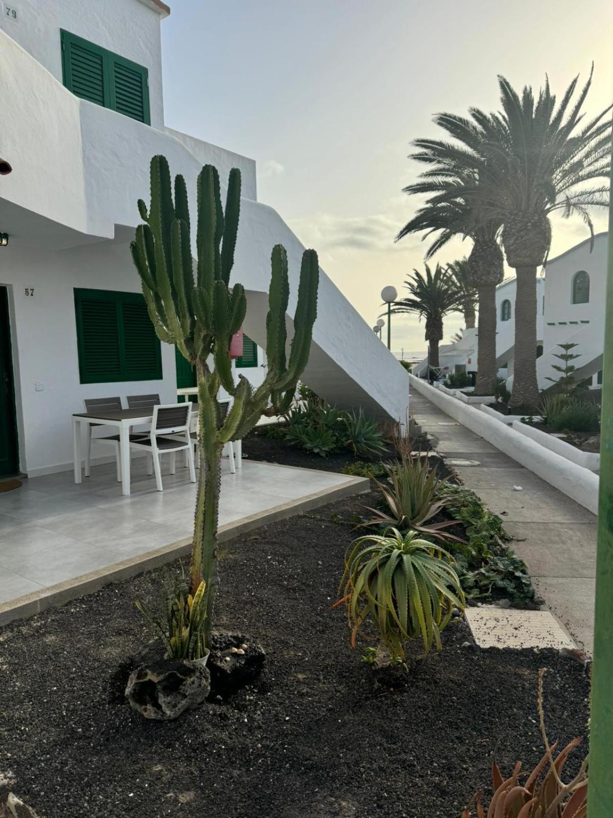 Cotillo المظهر الخارجي الصورة